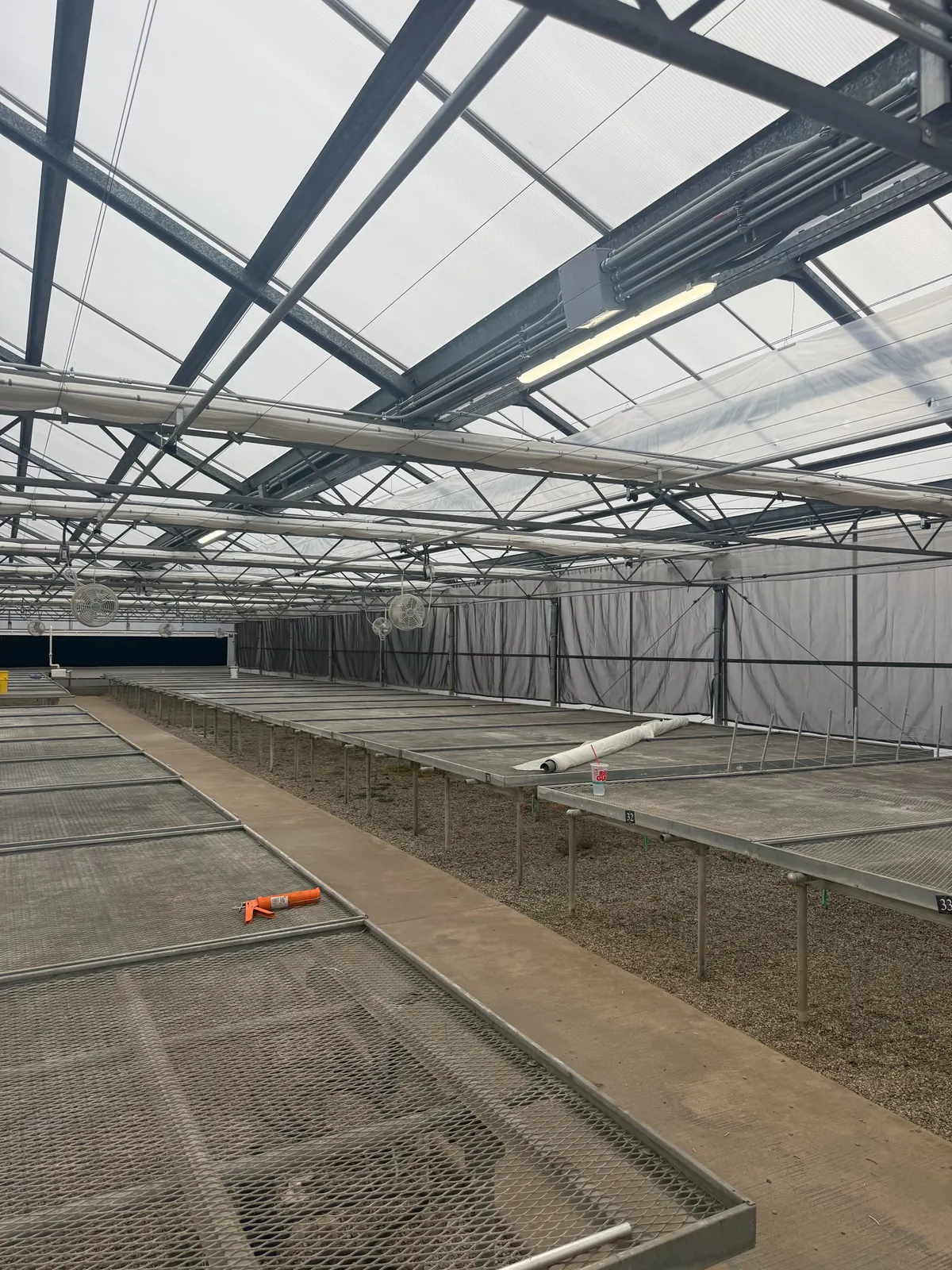 Conduit run and linear light fixture mounted on the greenhouse truss above plant benches at the LA County Arboretum