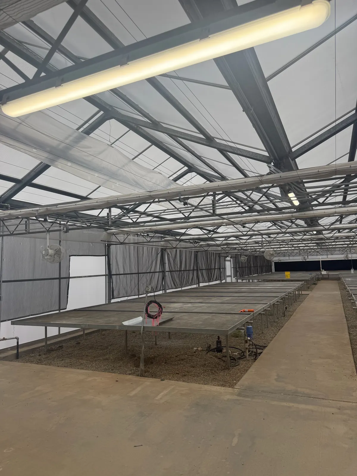 Linear light fixture on the greenhouse truss over rows of plant benches at the LA County Arboretum in Arcadia